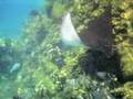 Hanauma Bay HI
