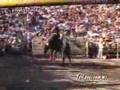 Resumen de las Fiestas de la Candelaria Huaniqueo 2008.