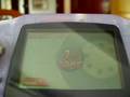(uploaded by nikolini)&nbsp;eLink Slot-2 USB Flash Cart 1GB