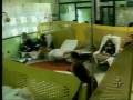 videos de Revista Sorria* na Tv Cultura