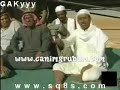 korkak arap