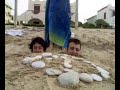 italia uno abel e massa