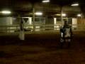 151st Crapaud Tournament Round 2 Fight 3 151st Crapaud Tournament Round 2 Fight 3