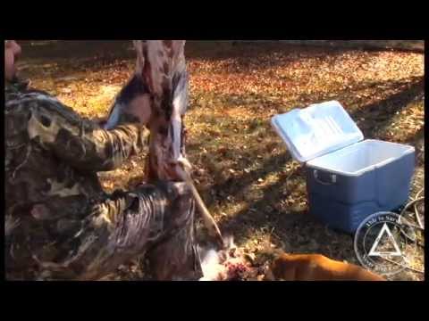how to skin and quarter a deer