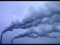 ENFERMEDADES POR CONTAMINACION AMBIENTAL