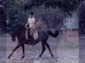 Armonika et prunedor son cheval