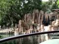 Junglecruise- Portside of Bow