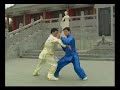 Taiji - Chen Style Pushhand (Zhang Dongwu) Taiji - Chen Style Pushhand (Zhang Dongwu)