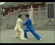 Taiji-Chen-Style-Pus