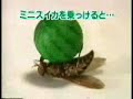 Click here to watch this video Hipnotis Lalat
