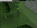 how to kill yourself on rs without getting into combat