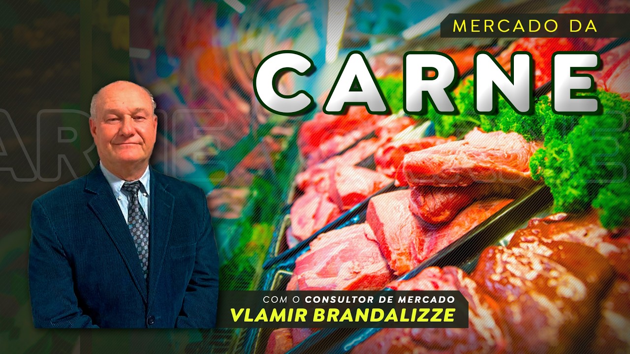 Arroba do boi já mira nos R$350 para os próximos meses.