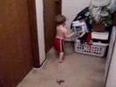 daid-chases-ferret.html