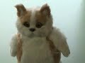 爆笑犬猫おもちゃ.wmv