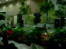 julie n sena wedding part7