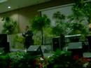 julie n sena wedding part7