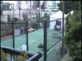 videos de Bay Vista Part VII