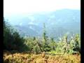 Oščadnica Veľká Rača - vrcholová panoráma