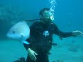 intro dive at dive and trek (jojit)