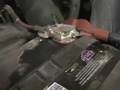 Peoria Batteries at Uftring