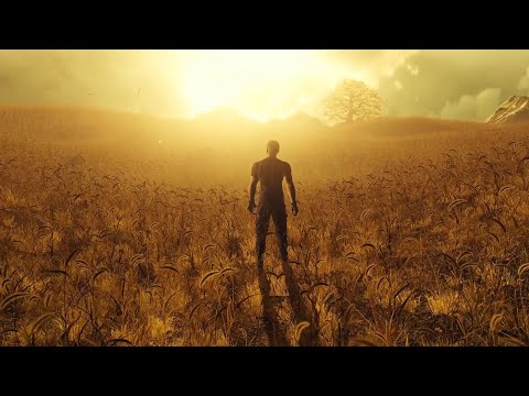 Vidéo 1
