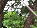 kerala yathra2 .MOV