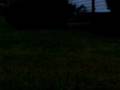 night  time skating wth lil kids