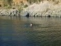 Tiburón Claudio