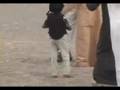 Ansar Burney Presentation