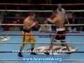 videos de Top 10 Hardcore Boxing Knockouts  must see!