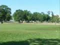Mojo Going Long for Frisbee