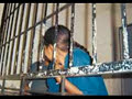 BETO QUINTANILLA CARROZA NEGRA-ROCHGUE BETO QUINTANILLA CARROZA NEGRA-ROCHGUE