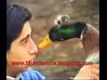 videos graciosos de animales