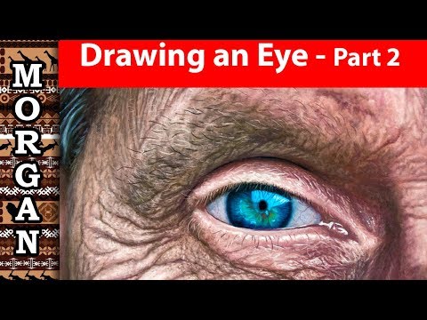 wildlife art wildlife art videos pastel pencil and oil painting