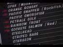 dhtv-market-street-grill.html