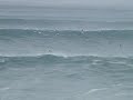 Waimea Closeout March 13, 2007
