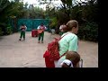 Little Drummer Boy on Panpipes