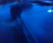 Skate Unfall