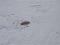 Snow Bashing MT2 part 1 Snow Bashing MT2 part 1