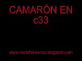 camarón en c33