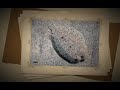 Arcipelago