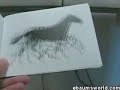 Awesome Optical Illusions