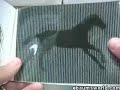 Awesome Optical Illusions