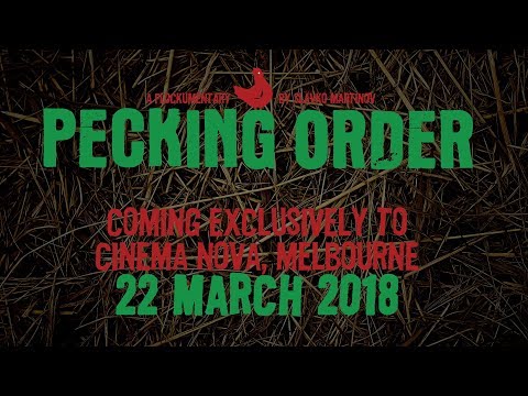 play trailer