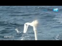 Jean Le Cam � bord de VM Mat�riaux 16 novembre 2008