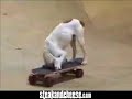 Pete The Skateboarding Dog