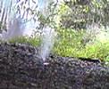 boom bomb explosion Datteln boom bomb explosion Datteln