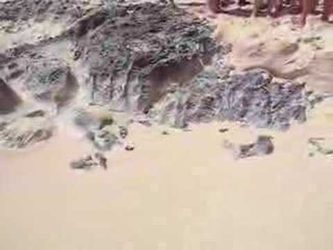 Click to play video.