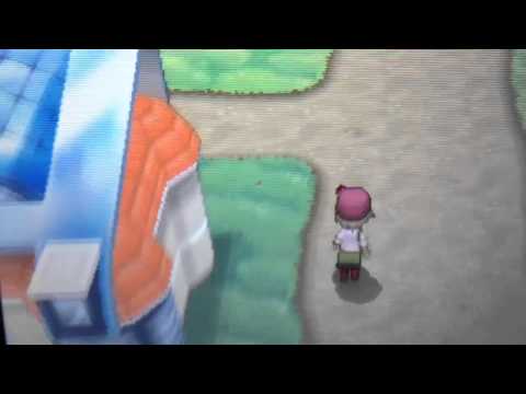 how to get more everstones in pokemon y