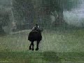 Shadow of the Colossus Glitch